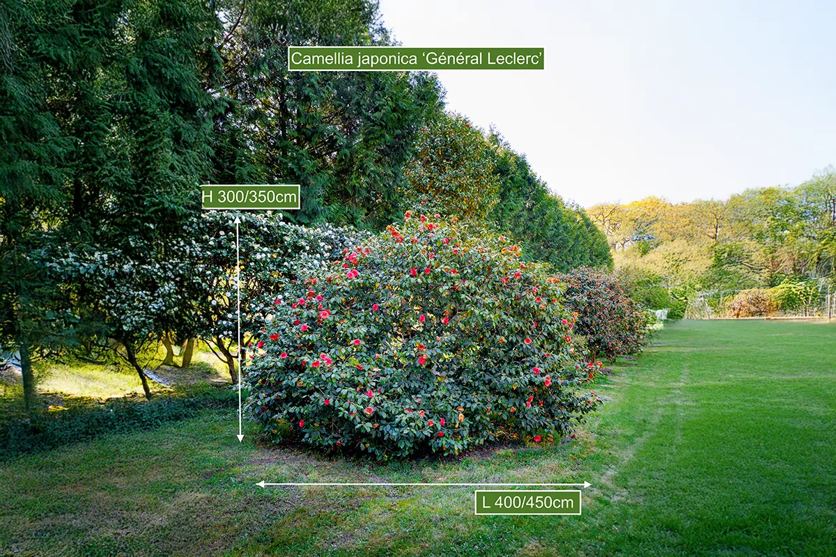 Domaine Des Rochettes Pepiniere A Nantes PT01GL5