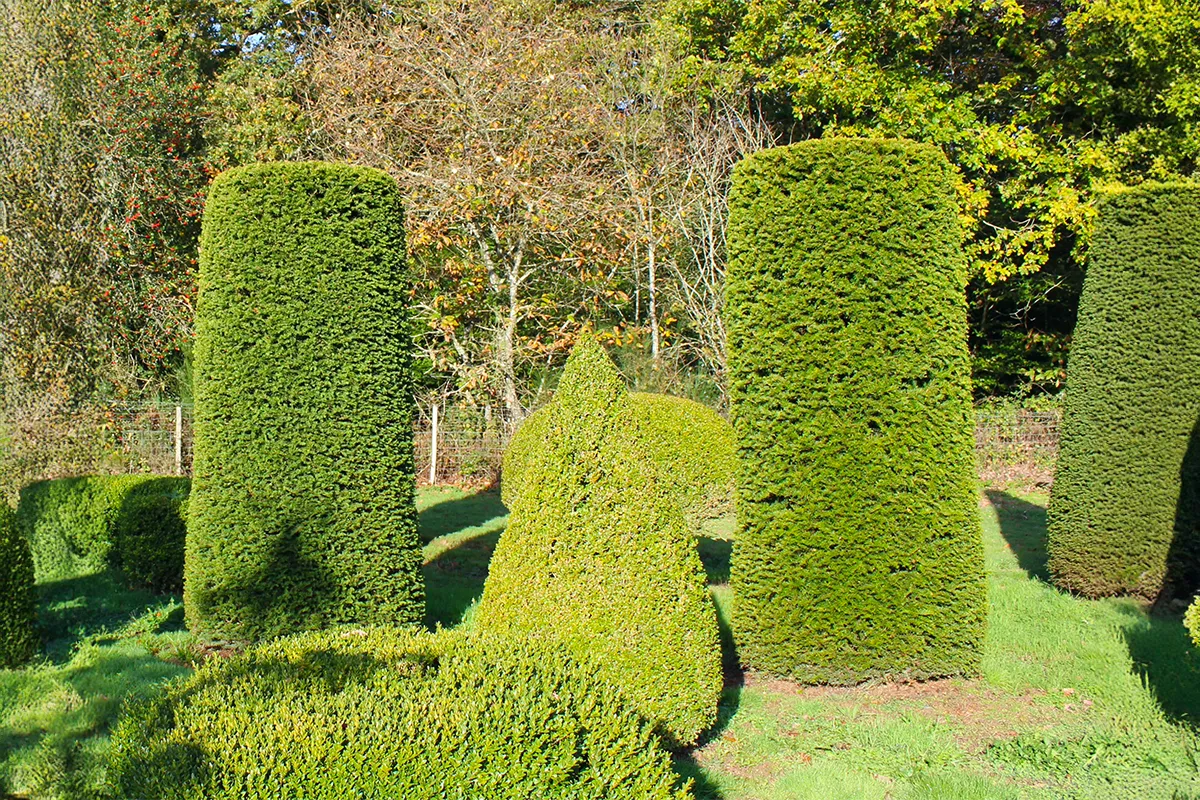 Domaine Des Rochettes Pepiniere A Nantes TAXCOL1