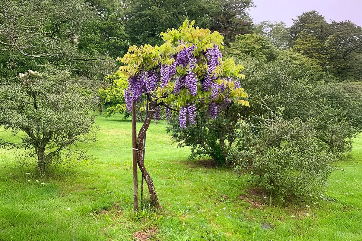 Domaine Des Rochettes Pepiniere A Nantes WFBDGR2031