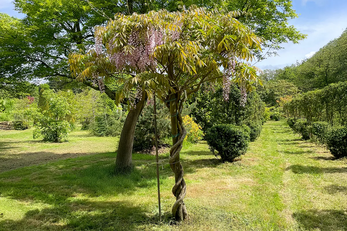 Domaine Des Rochettes Pepiniere A Nantes WFROSEANS31