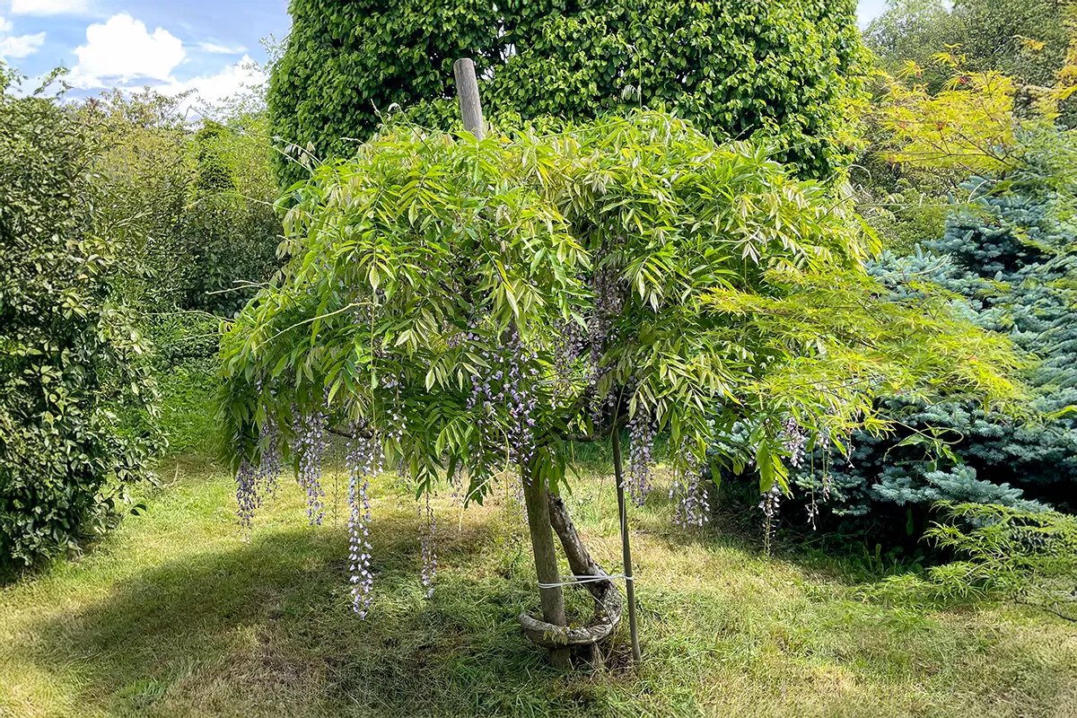 Domaine Des Rochettes Pepiniere A Nantes WSPROLNS21