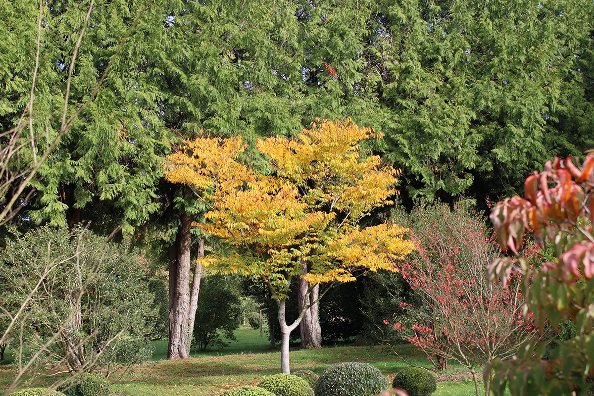 Domaine Des Rochettes Pepiniere A Nantes ZELKOGR31