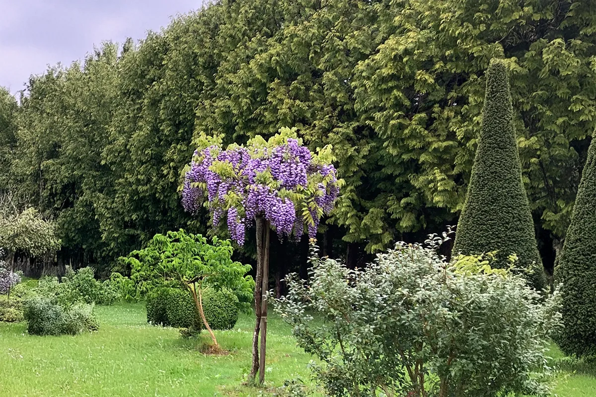 Domaine Des Rochettes Pepiniere A Nantes Img 1 WFBDGR2021